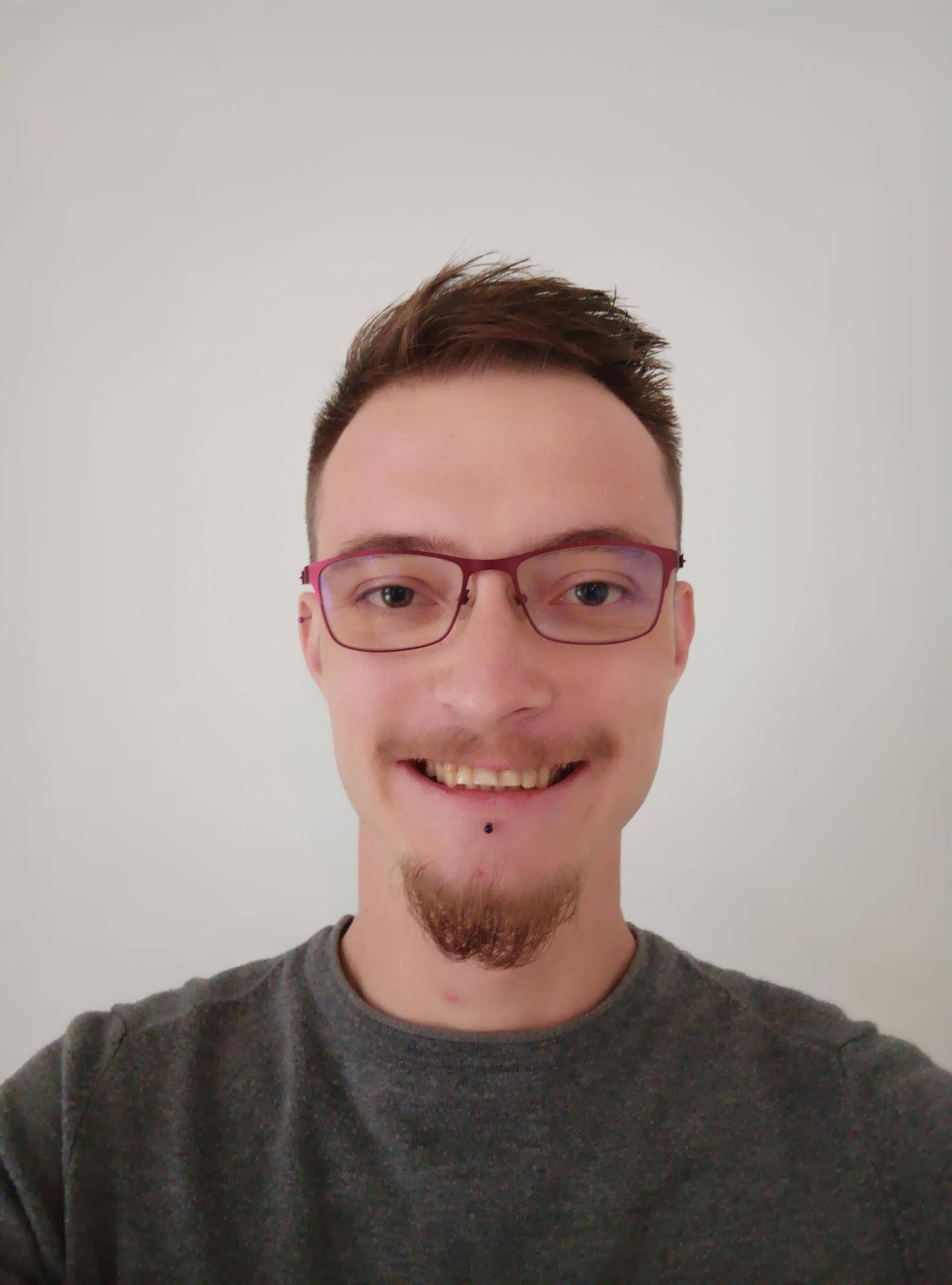 Hugo Le Dall - Développeur fullstack (Java/Typescript...)