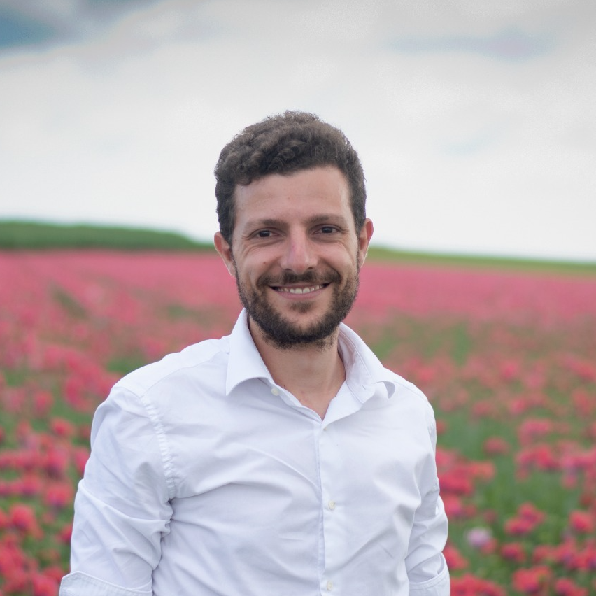 Othmane L. - Digital Transformation Consultant