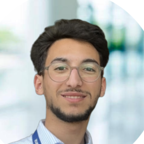 Anas  - Développeur systèmes informatiques/embarques