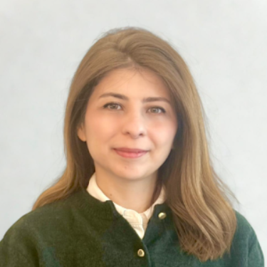 Salam A. - Data Scientist | AI & ML | DL | LLM |Data Engineer