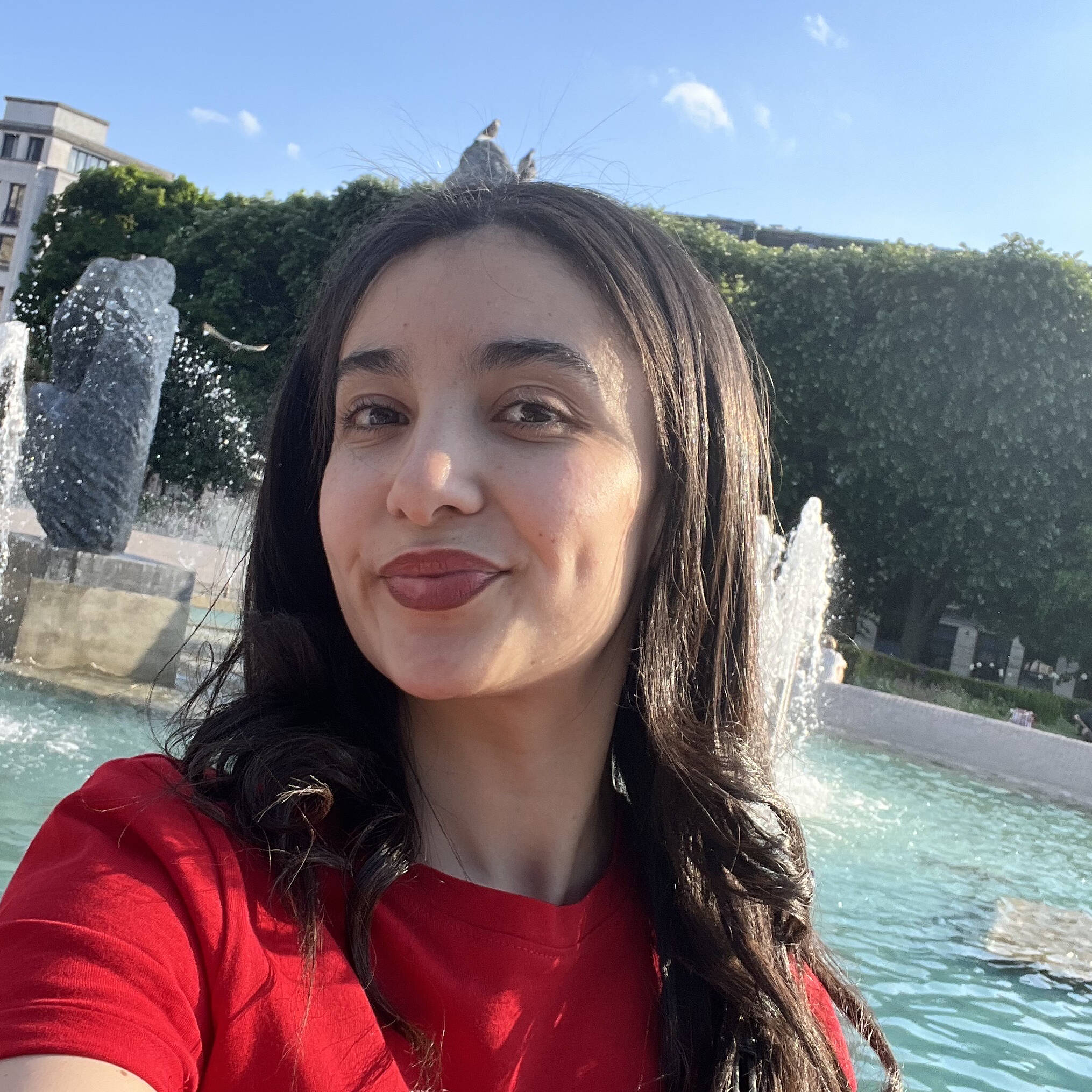 Saada Hamadache - Traducteur français ↔ anglais”