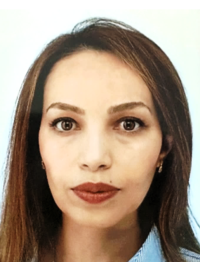 Mahassin Hebari - Dessinateur / Projeteur BIM REVIT