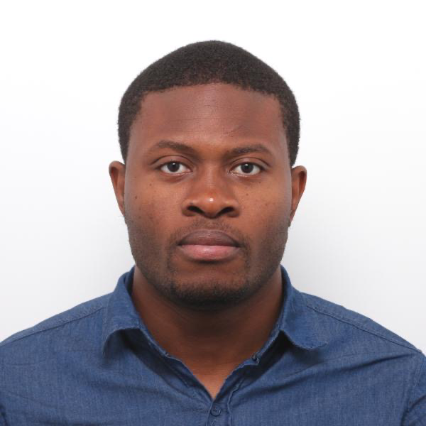 Brice Bansi - Developpeur Senior Angular/Vue/Svelte