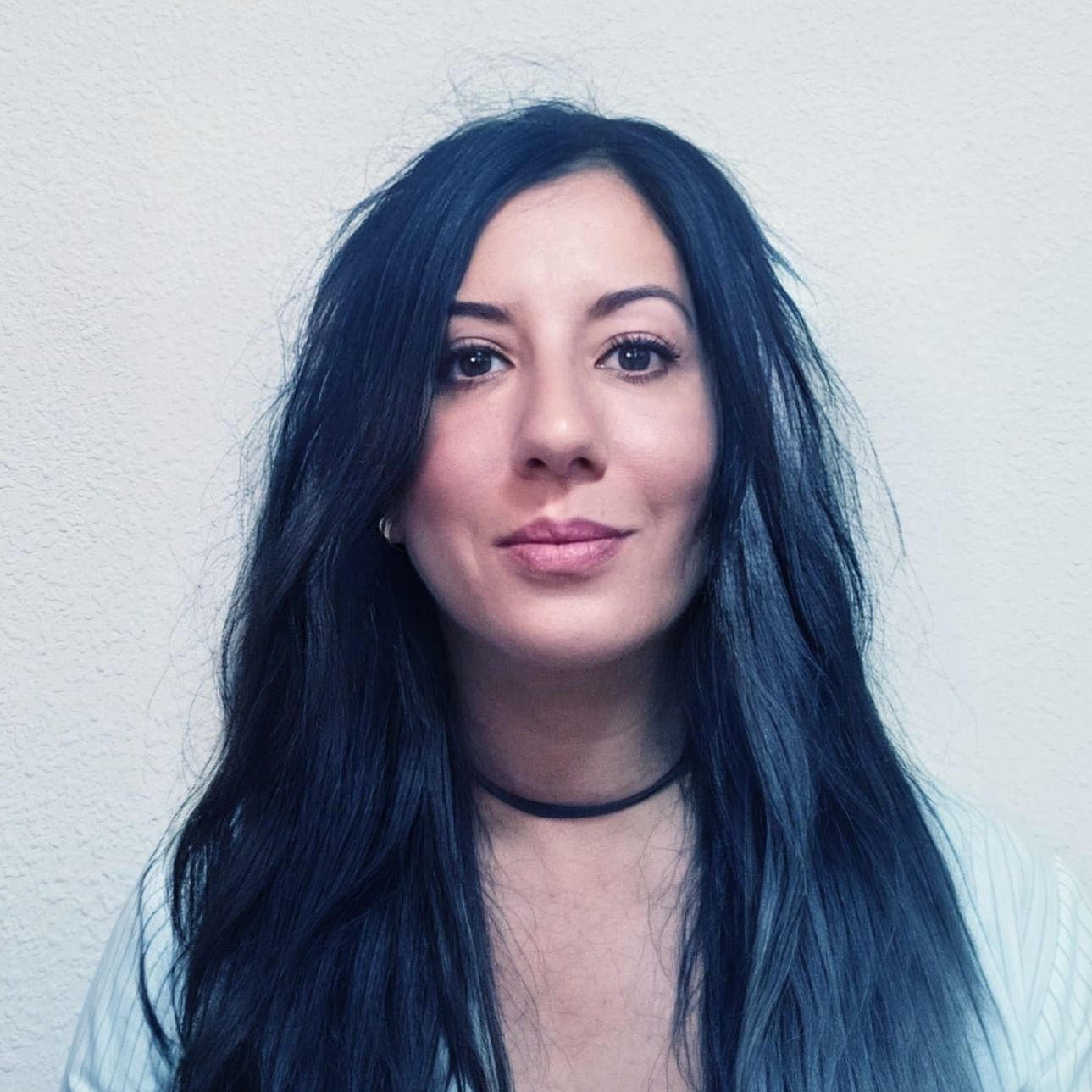 Lidia  - Auditorías de Seguridad  | Pentesting | WordPress