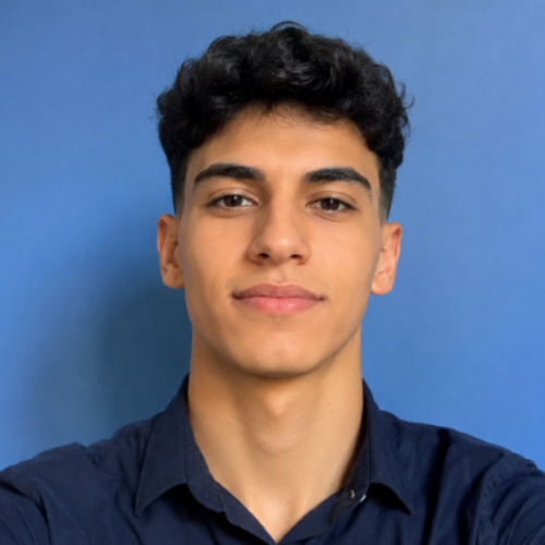 Houssam Amari - Python Developer & Data Analyst