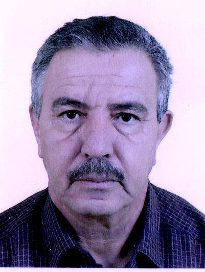 Benali Setti - Data Analysis & Scientific Writing
