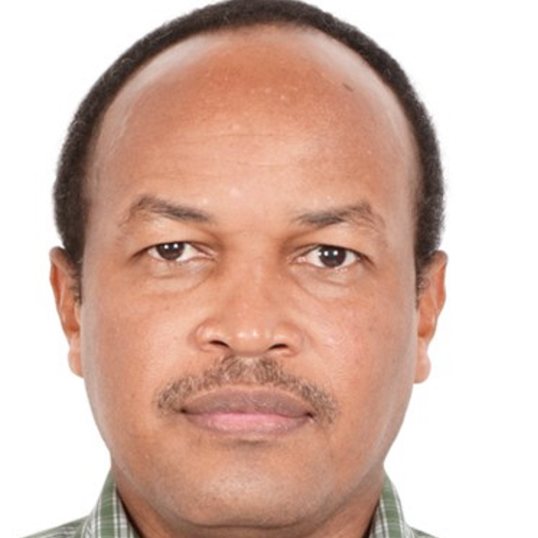 Alaa Eldeen Mohamed