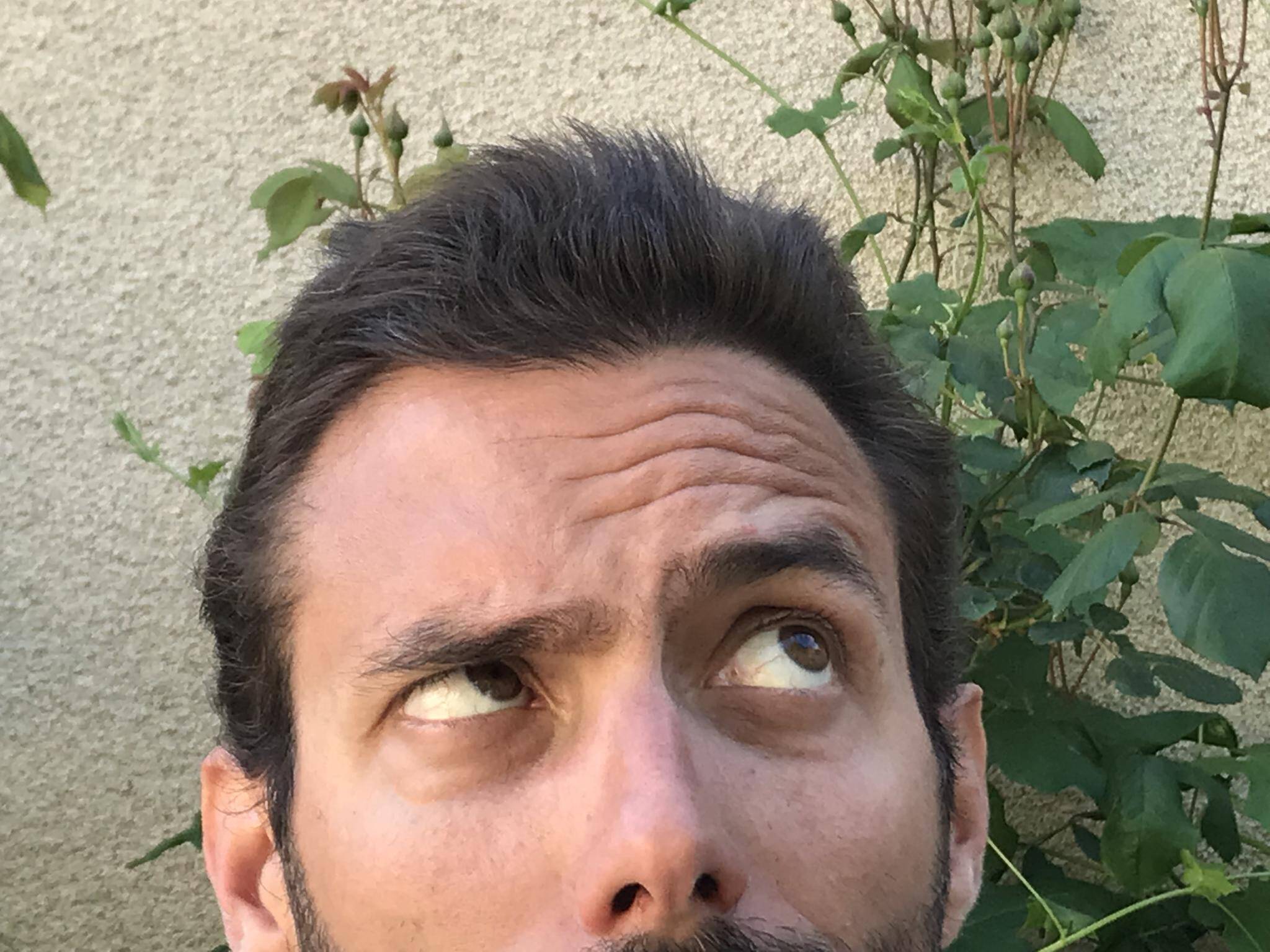 Tarik Amar