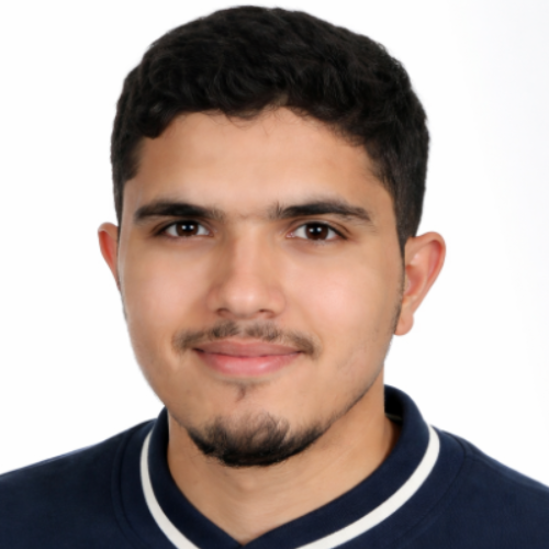 Elmontaser Ayoube