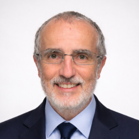 Francesco Bertani - Executive consultant Project planning & control
