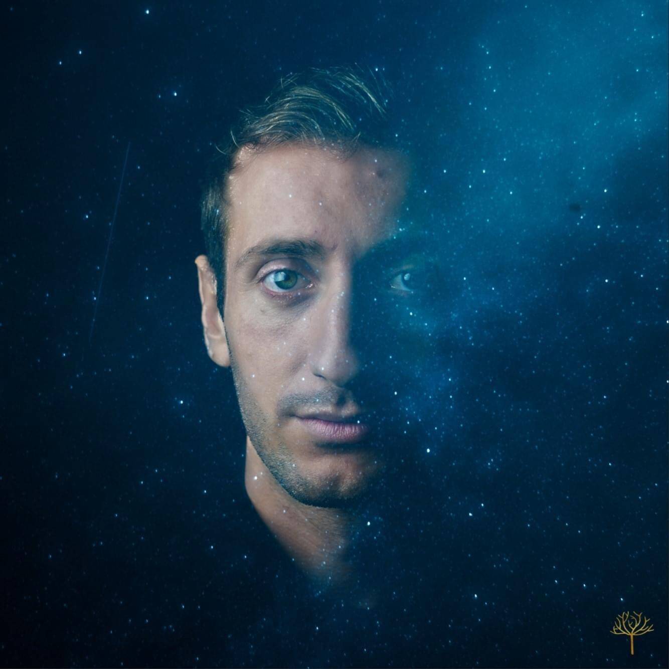 Thibault Arbre