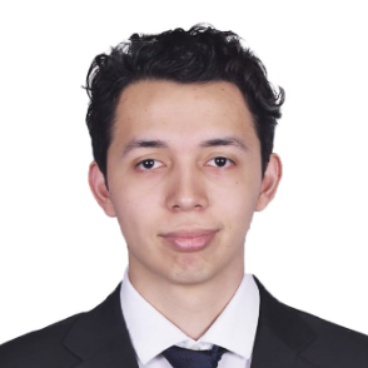 Diego Reyna - Ingeniero de Software