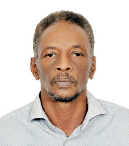 Tarig Dinar - Independent Mechanical Engineering Consultant