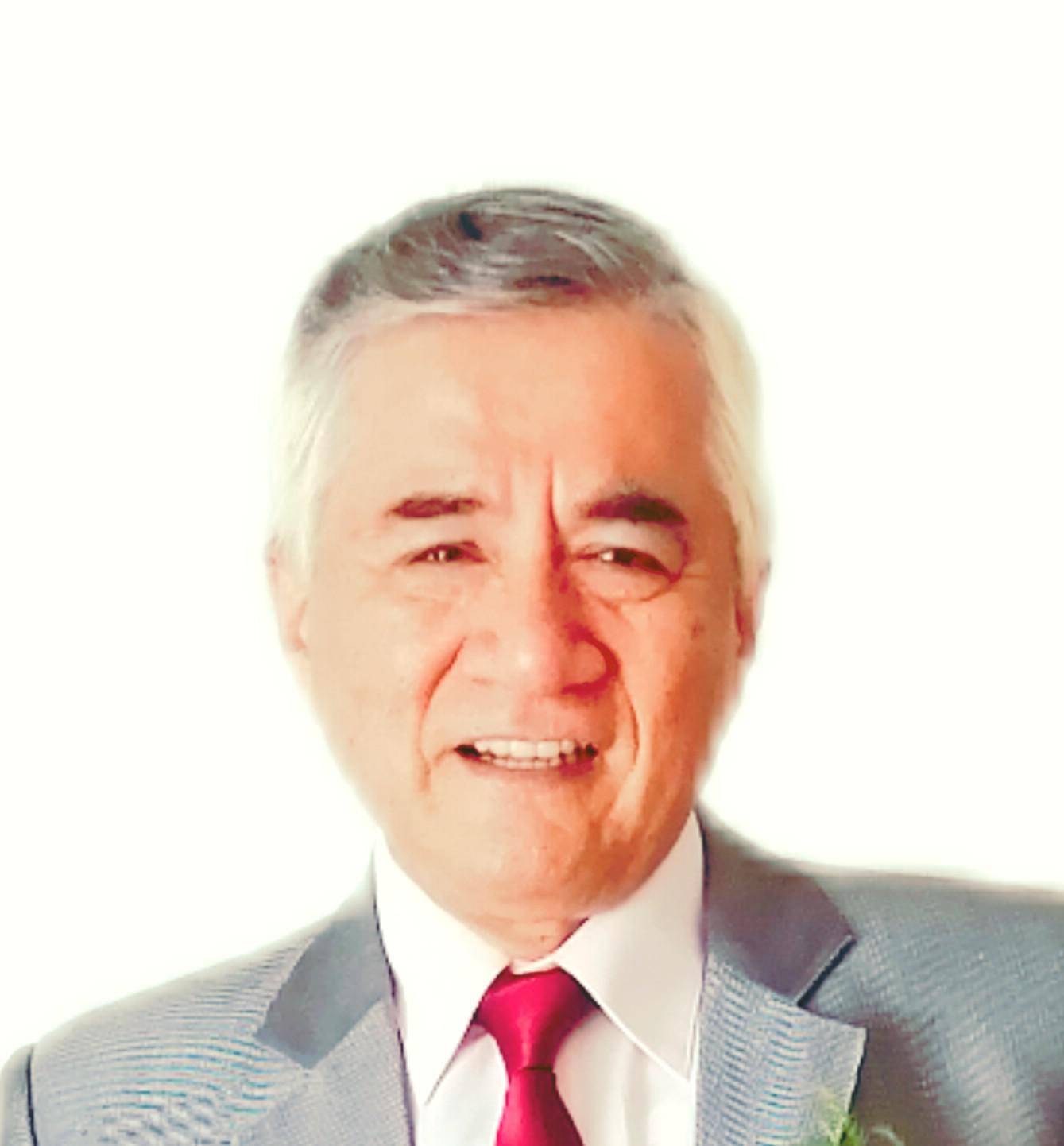 Raul Alberto Lavarello Arce - ABAP Developer 