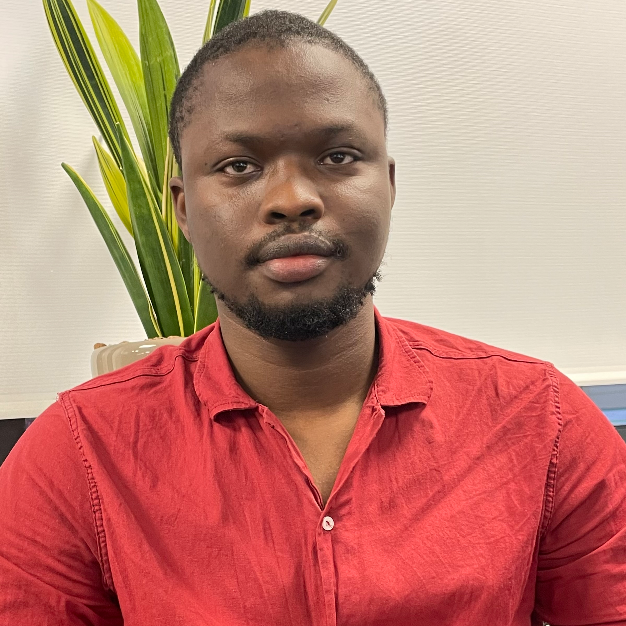 Patrick Edouard  - Energy Efficiency Engineer