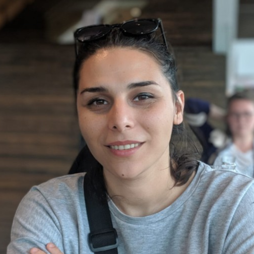 Pelinsu Pelit