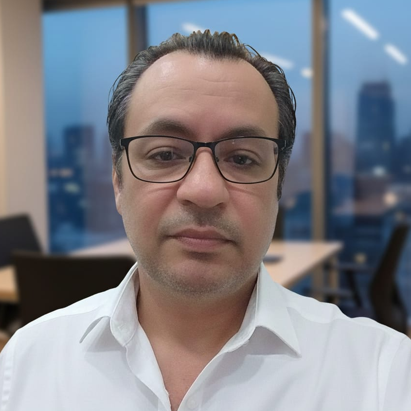 Mehdi S. - Consultant Expert MOA/MOE | ERP & Solutions Métier