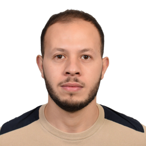 Laziz Hamdi - Data Scientist & AI Engineer