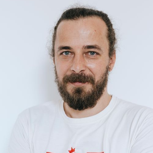 Aleksei Andrishchenko - Software Developer