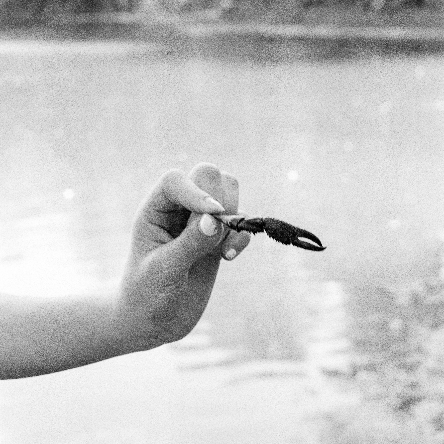 Charlotte Arthaud