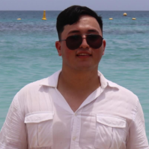 Hector Eduardo Osorio Castellanos - full stack developer | Abap developer