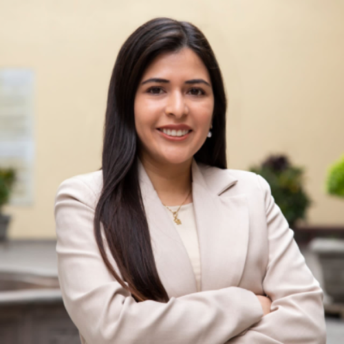 Luciana Loayza Shimose - Digital Strategy Consultant