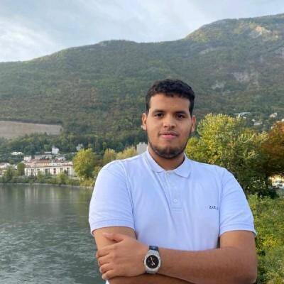 Mohamed Lemine Mohamed Ahmed