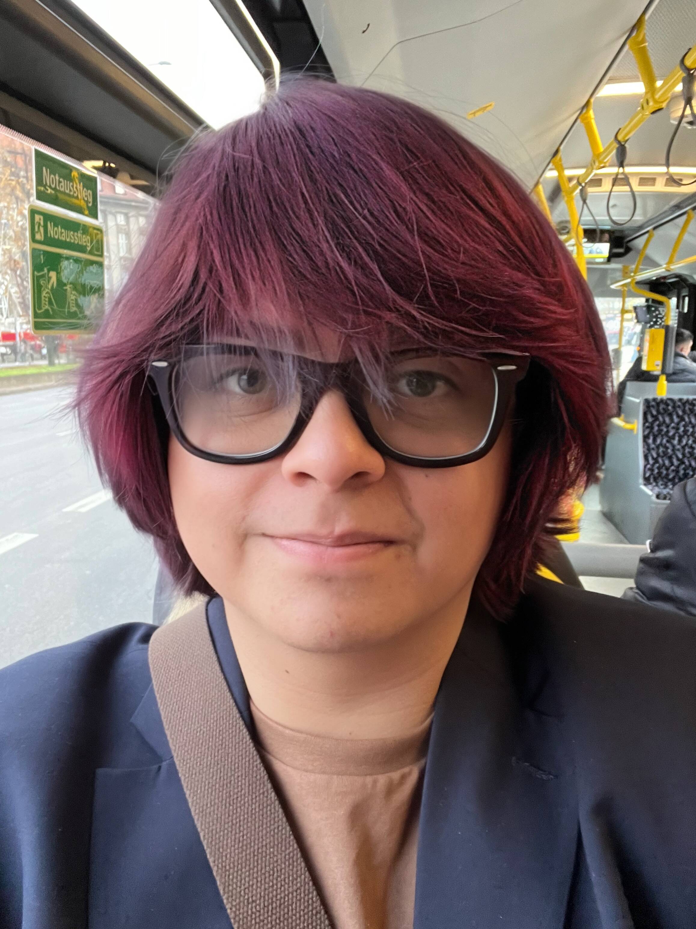 Albert R. G. - Web Developer
