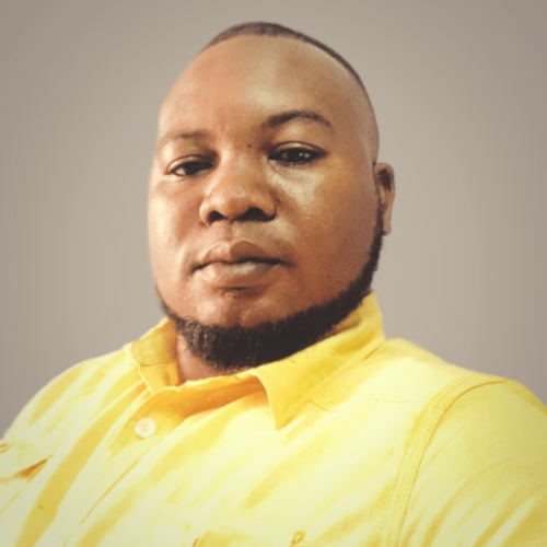 Josias Y. - Data Analyste I Business data analyte
