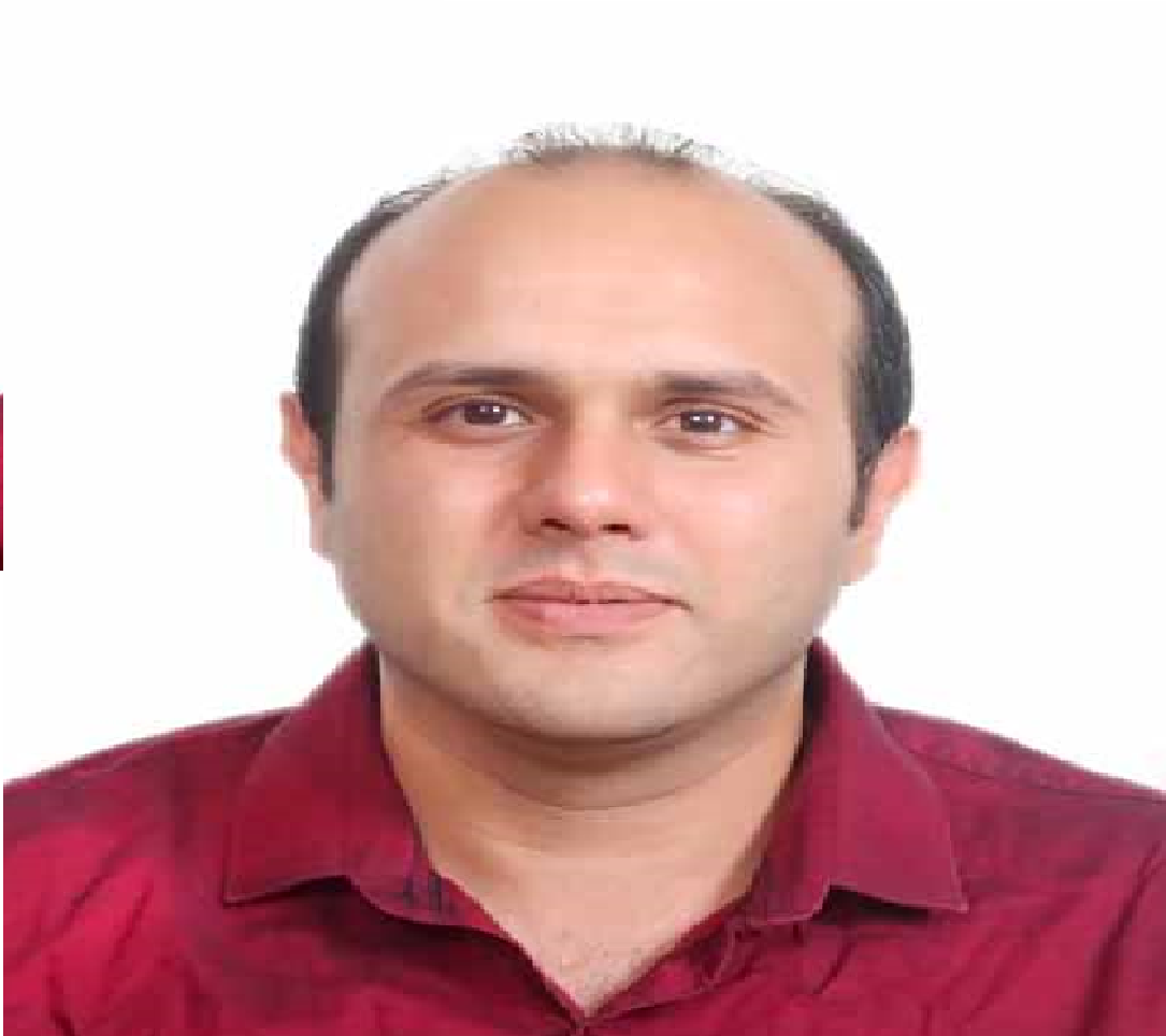 Chaouachi Hamed - Développeur java/J2EE  fullstack angular
