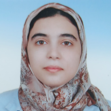 Salma Darhouane - IT BUSINESS ANALYST