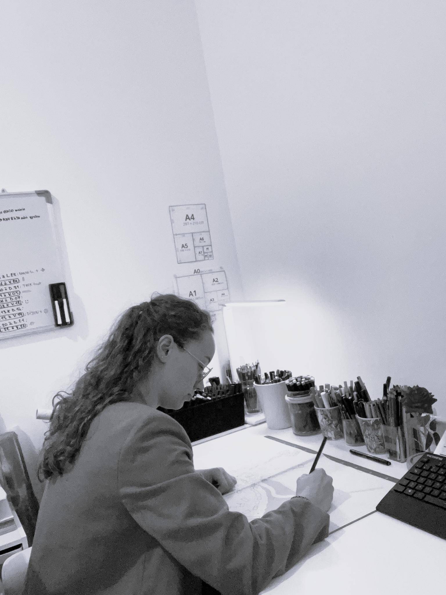 Tiphaine Sovany - Infographiste/dessinatrice en paysage