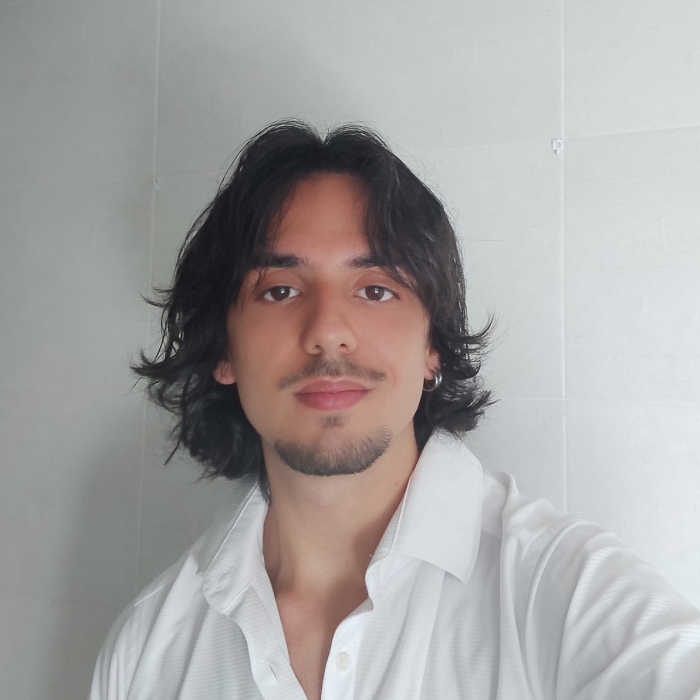 Pablo Carbonero Almellones - Desarrollador de aplicaciones