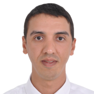 Badreddine  - SAP FI/CO Functional Consultant