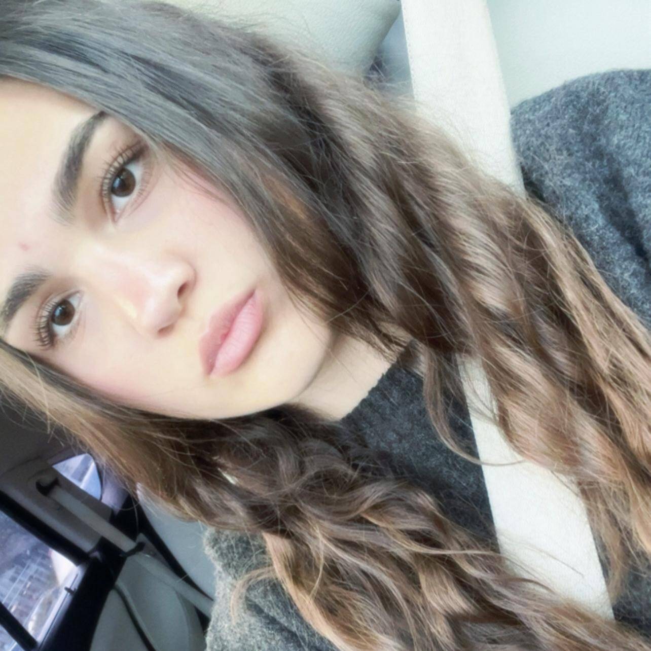 Moisei Denisa