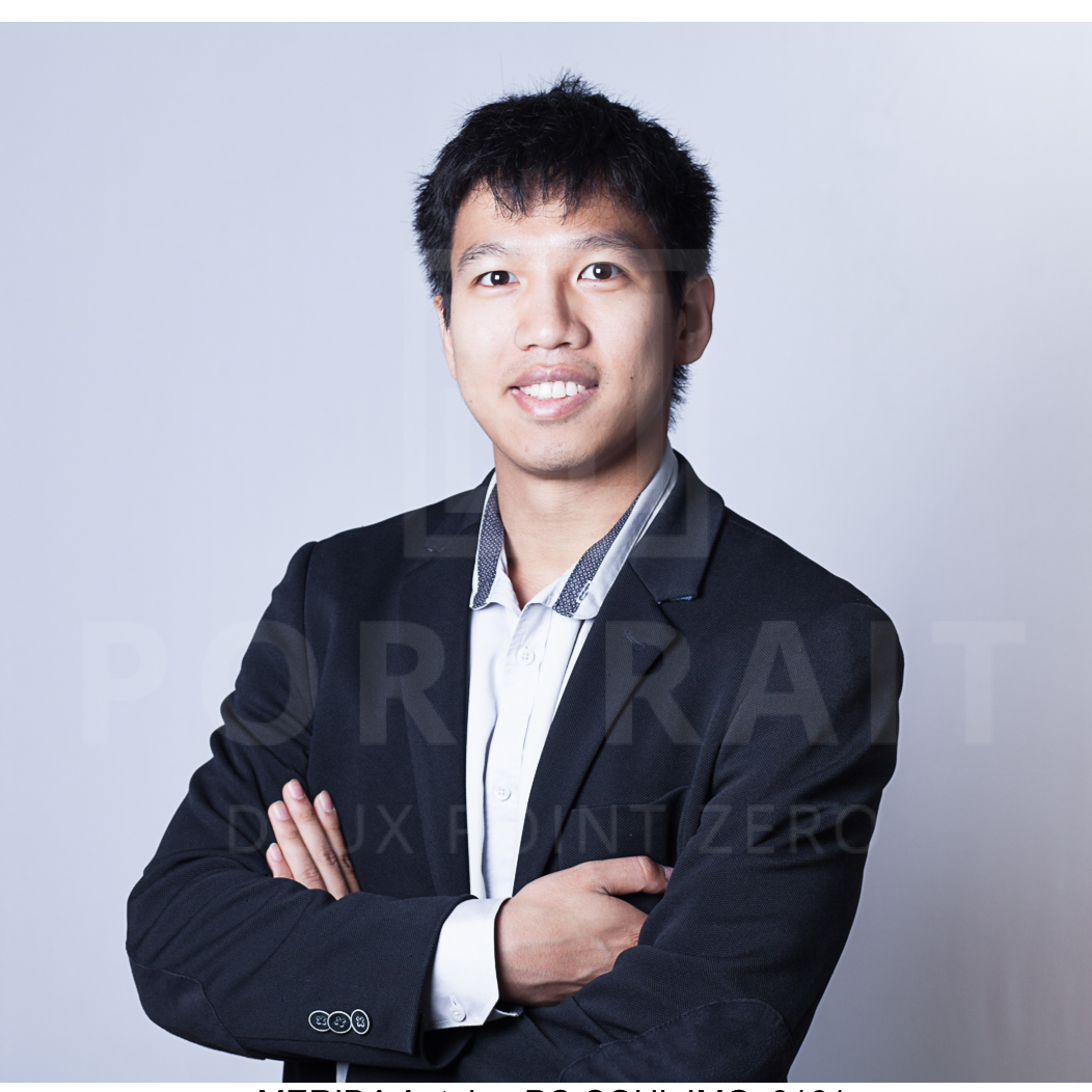 Merida  - Expert Automatisation Finance : Excel VBA / SQL/BI