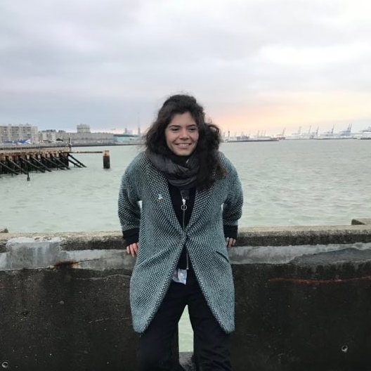 Adélaïde Faure - motion designer 2D
