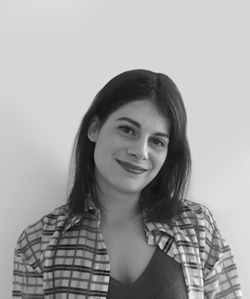 Elvira Pedregal Rodríguez - Functional and Technical Adobe Campaign Consultant