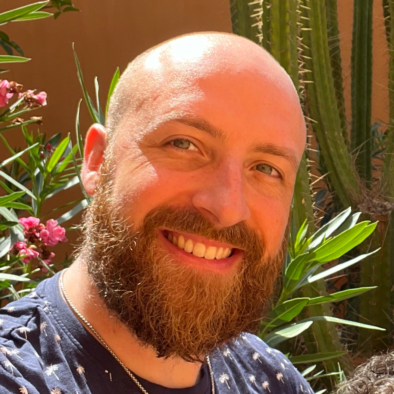 Brice Chaponneau - Expert Fullstack Svelte/Vue/React/Node