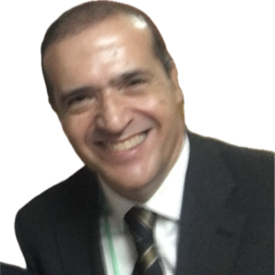 Reinaldo  - Senior commercial and financial professional with