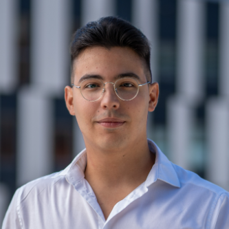 Gabriel Nikic - IT Consultant