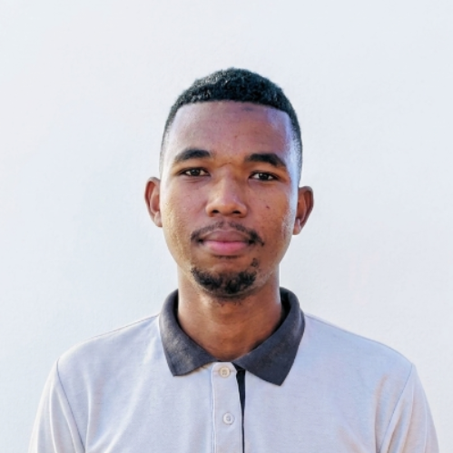 Tojo Faniriana - Business developer