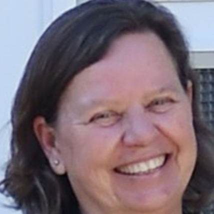 Fenella Davis - International consultant and project manager