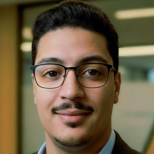 Amine F. - Consultant Power BI / Power Platform