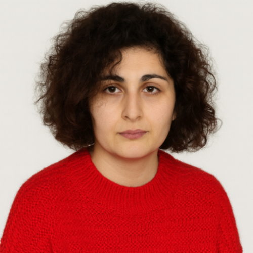 Stella  - Data Analyst