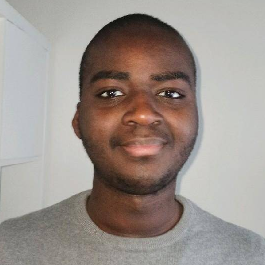 Bachekou Diaby - Dev Fullstack | Angular | NestJS | Node.js