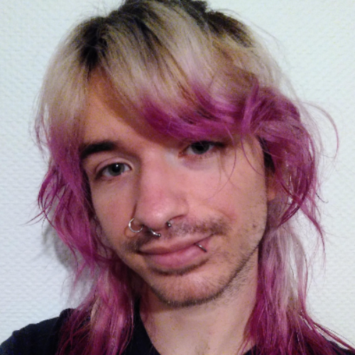 Adrien Couaillet - Traducteur