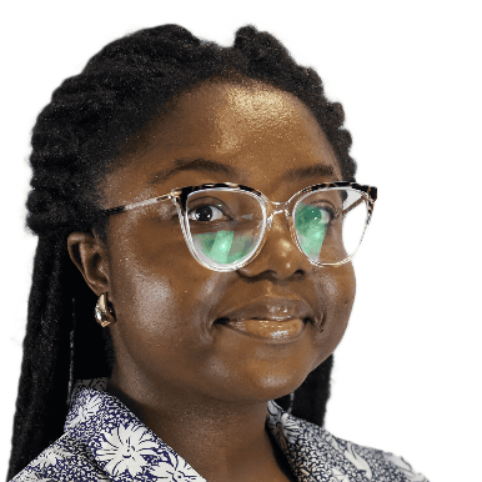 Maureen Domche - Développeur BI / Data Analyst