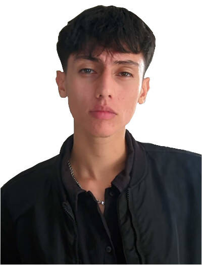 Javier Santiago Niño Peñaloza - Desarrollador Web