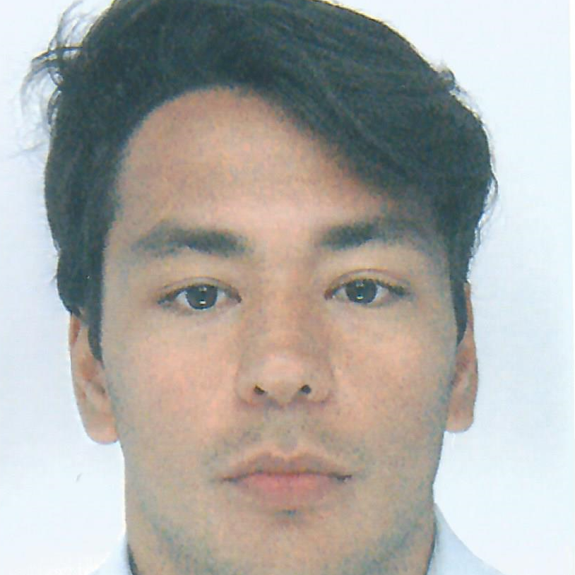 Guillaume Q. - Blockchain/AI/Java/Rust/Python/Solidity